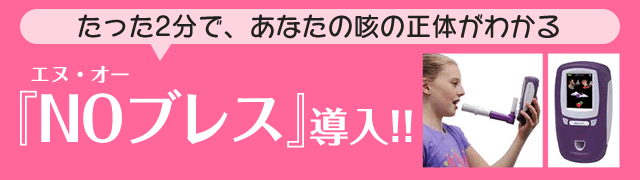 気管支喘息 治療編 むこうがおかクリニック 川崎市多摩区登戸 土日も診療